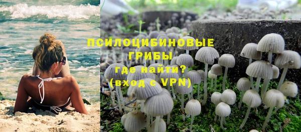 Альфа ПВП Мегион