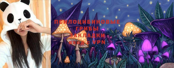 Альфа ПВП Мегион
