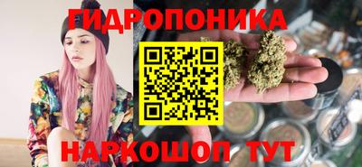 мяу мяу мука Гусев