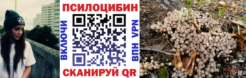 Галлюциногенные грибы мицелий Когалым