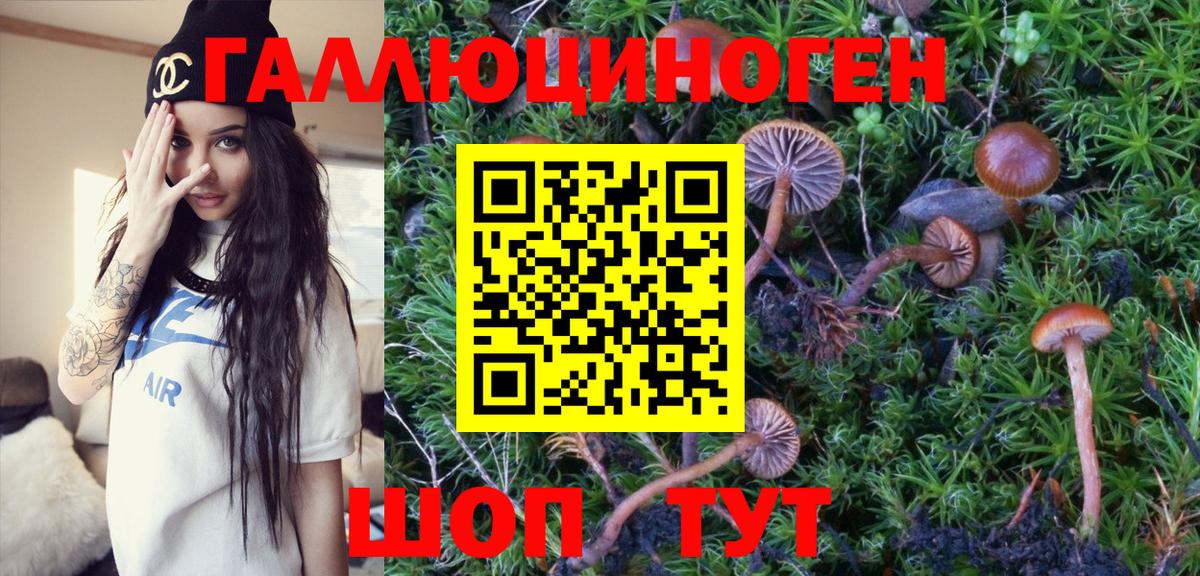 Когалым  Галлюциногенные грибы MAGIC MUSHROOMS  Псилоцибиновые грибы Magic Shrooms  Вход с VPN 